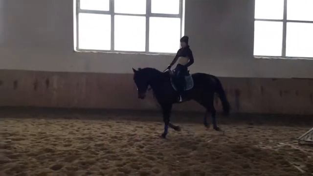 Туффи джамп3 смотреть онлайн