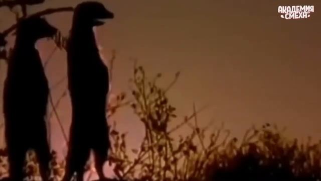 Это было незабываемо..