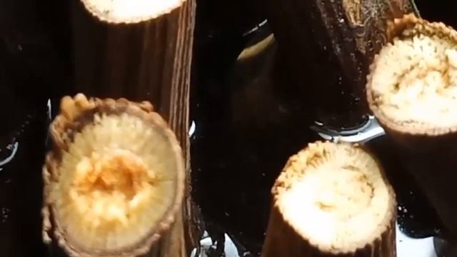 Когда и сколько отмачивать черенки винограда? смотреть онлайн