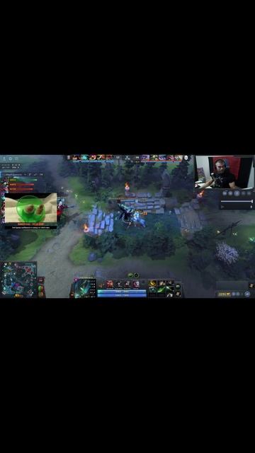 Скриньте, Это Профессиональная Дота #dota2 #бородач