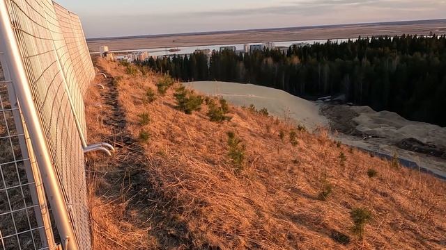 хвойный смотреть онлайн
