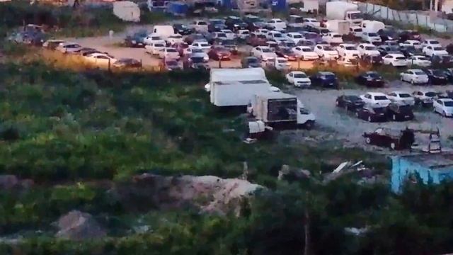 Ночное бесконечное тявканье - 2018-06-28 - 03.30 смотреть онлайн