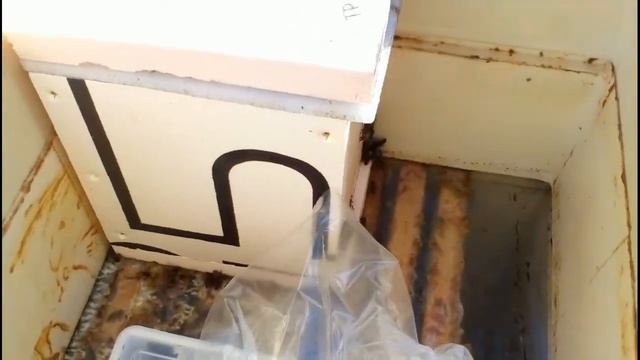 Бакфаст на Псковской земле смотреть онлайн
