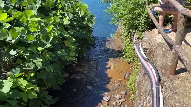 Банановая роща и невероятное море смотреть онлайн