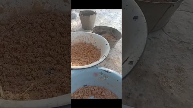 ауыл шаруашылығы мал жайлау смотреть онлайн