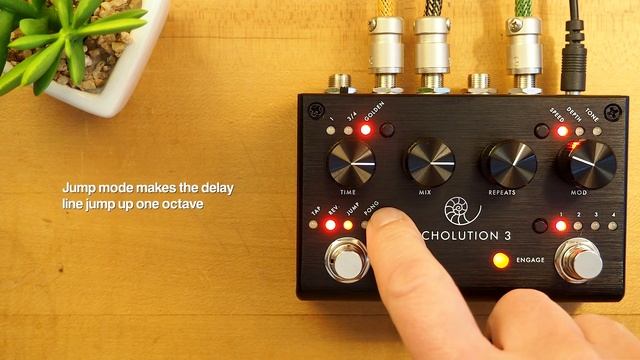 Pigtronix Echolution 3 Stereo Multi-Tap Delay смотреть онлайн
