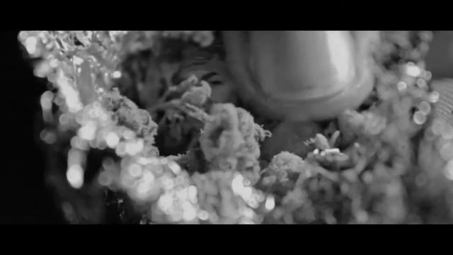 Yasiin West ✖️Cüüsch zu Brutal prod by. Sam David (Official Onetake Video ) смотреть онлайн