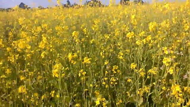 2015 07 18 17 26 33 смотреть онлайн