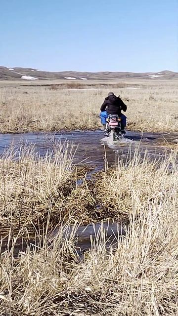 Судан өту мотомен 🏍️🏍️🔥🐎🐎#жылқы #ат #конь #тұлпар #лошади #лошадь #horse