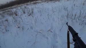 Загонная охота на Лося 2.0 Зима 2023