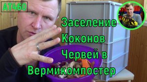 АТ460 заселение коконов дождевых червей #заселениекоконов ат460