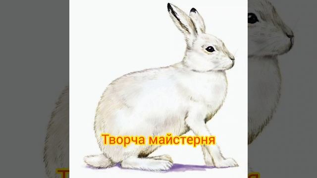Малювання "Зайчик"#длядітей смотреть онлайн