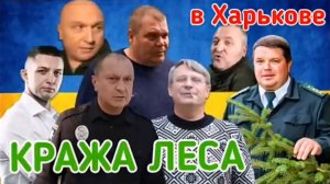 Кража леса в Харькове 1| дело Павла Онищенко