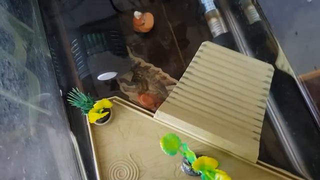 Իմ կրիան смотреть онлайн