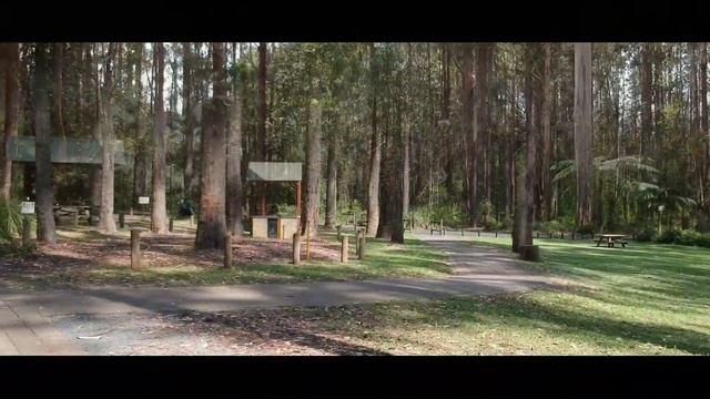 DJI Spark - Trees & Shrubs смотреть онлайн