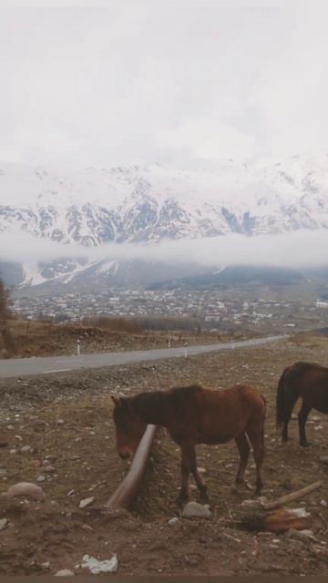 #tilawat #quran #islamicstatus #tilawatquran #ksa #religion #qurantilawat #dubai #saifi #uae #india