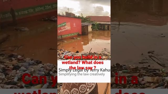 Can you legally build in a wet land? What does the law say Top requirements you need before buildin смотреть онлайн