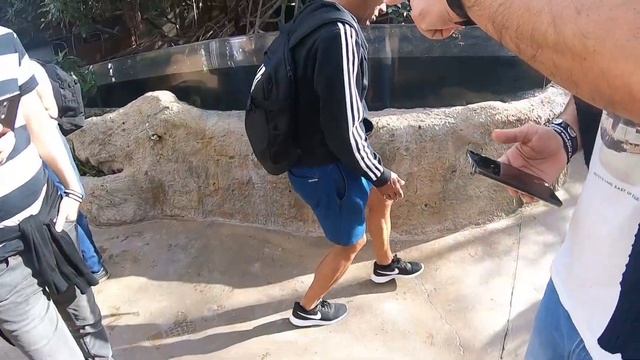 Adonis Runners - Viaje Marathon Valencia 2018 смотреть онлайн