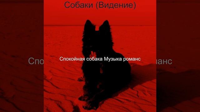 Впечатление (Спокойные собаки) смотреть онлайн