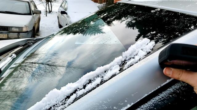 petal_20250222_142346.mp4 смотреть онлайн