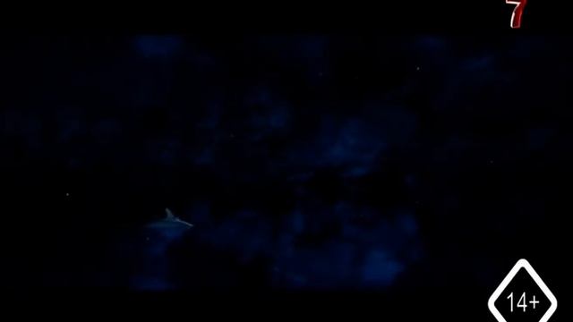Смена логотипа (Седьмой канал, 10.06.2019) смотреть онлайн
