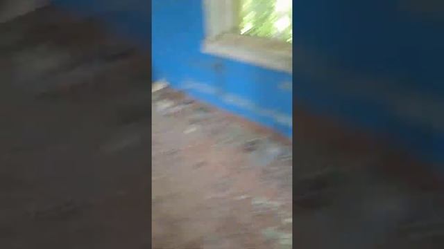 Залезли в заброшку. Что мы увидели смотреть онлайн