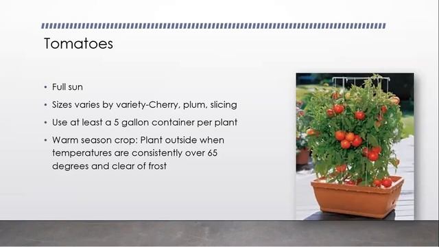 Vegetable Gardening in Small Spaces смотреть онлайн
