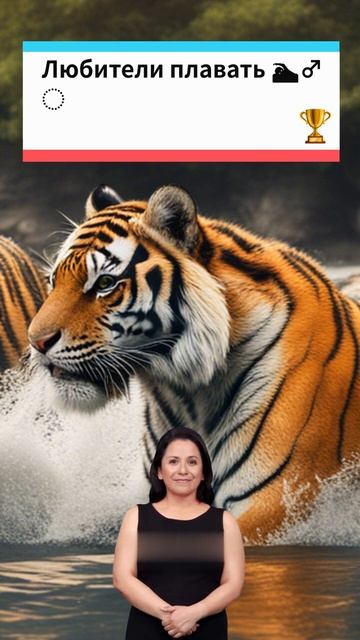 Интересные факты о тиграх #рекомендации смотреть онлайн