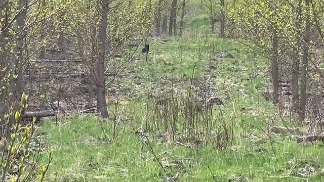 Building And Trying Out Russian Outdoor Shower