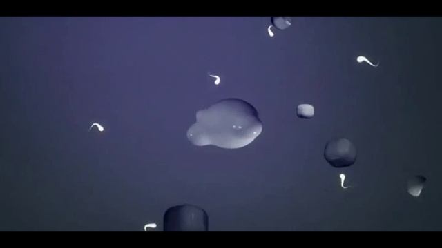 Damon Wild - GPS - Colortheory смотреть онлайн