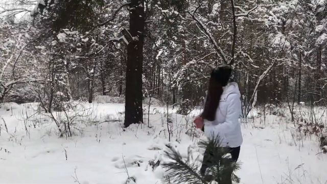 Снег в Орехово-Зуево смотреть онлайн