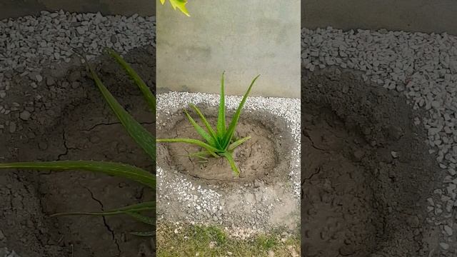 A beautifull home garden смотреть онлайн