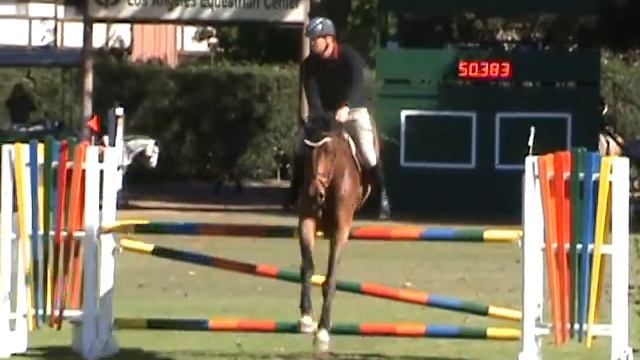 SIG Chester 1.20m Jumpers @ LAEC Nov 2010 смотреть онлайн