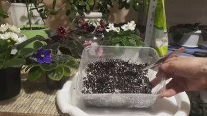 Как приготовить Идеальный Грунт для Фиалок?