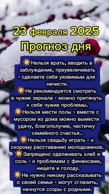 Прогноз дня на 23 февраля 2025 смотреть онлайн