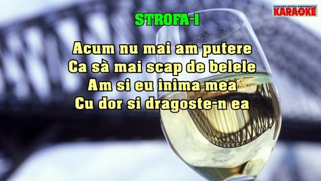 Karaoke - Hai Mai Bine Ia Si Bea Cu Mine - Versuri - Negativ