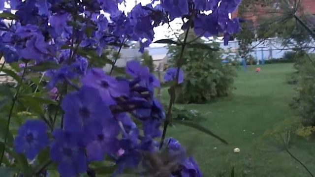 Самые удачные съемки!!! Бражник 2012. смотреть онлайн
