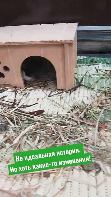 Хоть какие-то перемены! смотреть онлайн