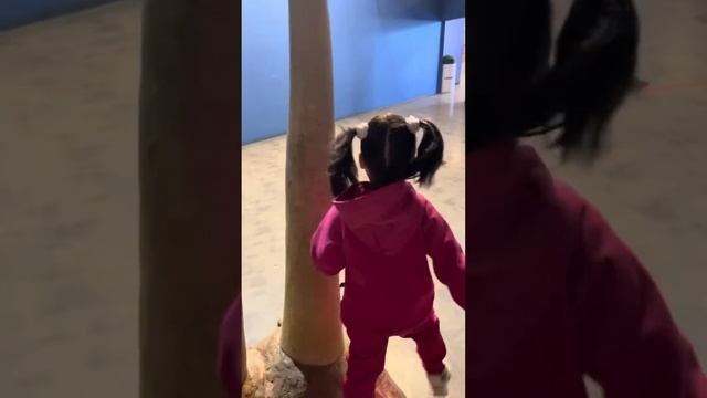 10 апреля 2024 г.