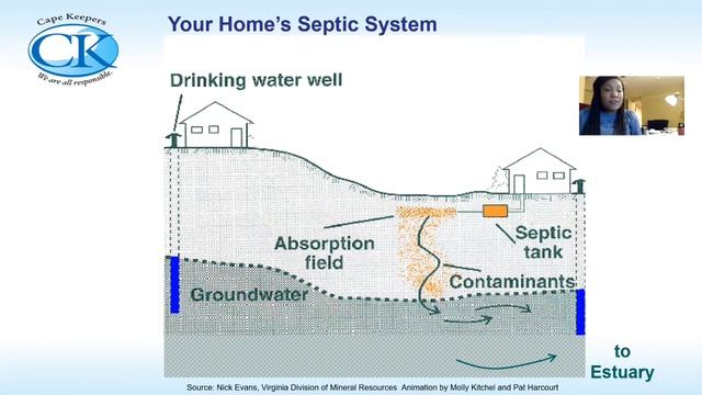 Tonna Marie Surgeon on nitrogen overloading in Mashpee waters смотреть онлайн