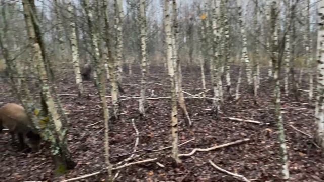 22 февраля 2024 г. смотреть онлайн