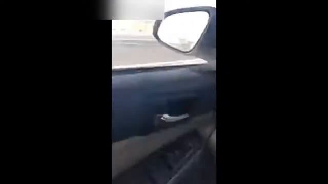 МАШИНА СБИВАЕТ ВЕРБЛЮДОВ | ЖЕСТЬ | САУДОВСКАЯ АРАВИЯ| смотреть онлайн