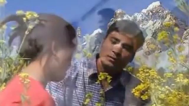 Kapunsi kithin donu (Remember hrang unsah ilo sinna) | Anal music video | With Lyrics | Raso Napatu смотреть онлайн