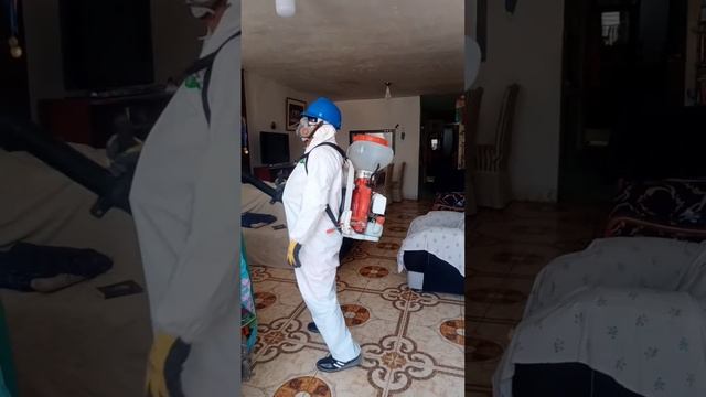 Servicio de Desinfección y Fumigacion San Judas Tadeo-Piura смотреть онлайн