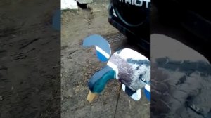 Махокрыл, мотоутка своими руками