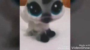 ♡[LPS] Клип 'Эти роли не для нас..'♡