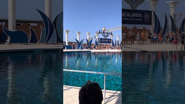 Алания дельфин парк. 27 сентября 2023 г.