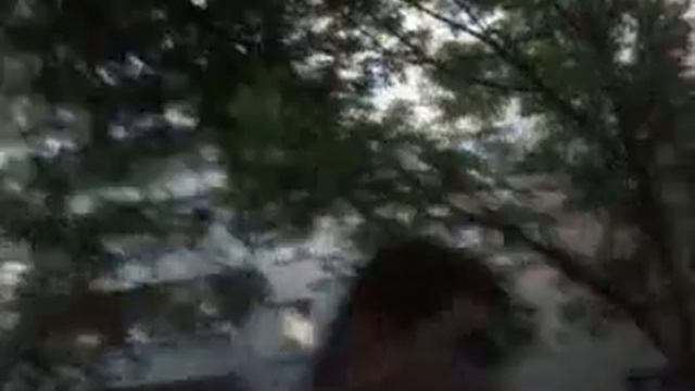 толстяк очень о многом.mp4 смотреть онлайн