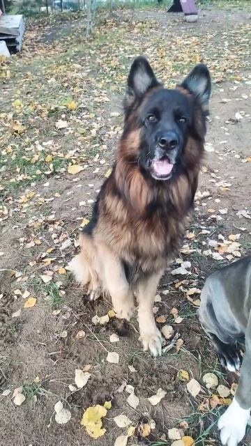 Рем, привет 🥰