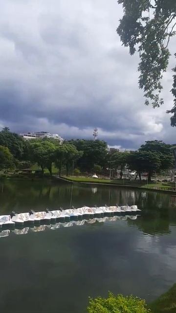 SALVADOR смотреть онлайн
